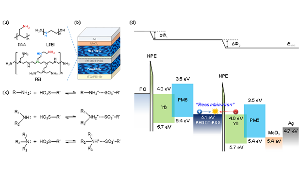 “Breaking the Limits with ‘Chemical Locking’… Incheon National University Boosts the Commercialization Potential of High-Efficiency Tandem Organic Solar Cells” 대표이미지